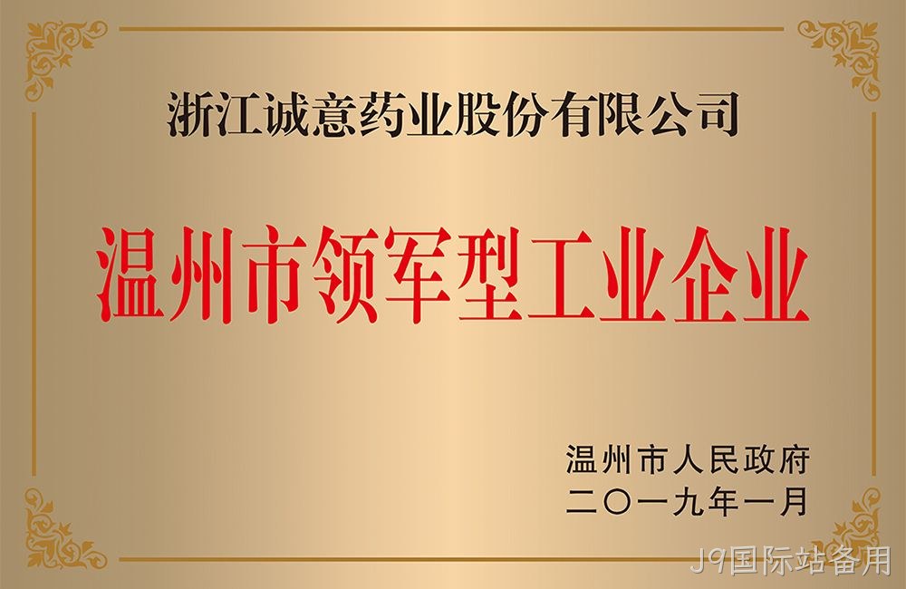 温州市领军型工业企业