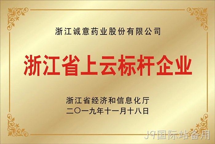 浙江省上云标杆企业